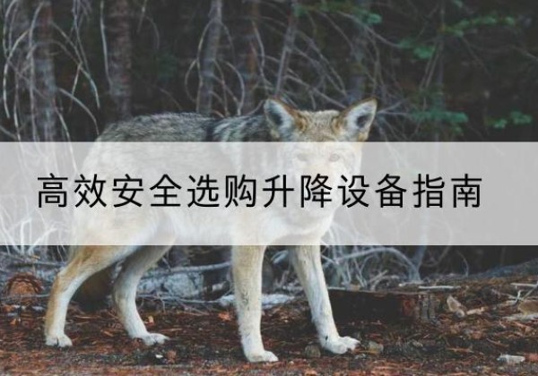 黄岩升降货梯厂家推荐-*安全选购升降设备指南