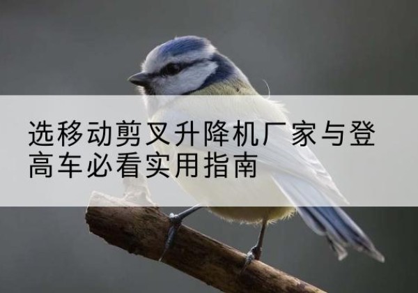 黄岩电动升降机厂家-选移动剪叉升降机厂家与登高车必看实用指南