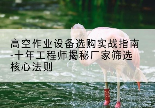 黄岩剪叉式升降机厂家-高空作业设备选购实战指南-十年工程师揭秘厂家筛选核心法则